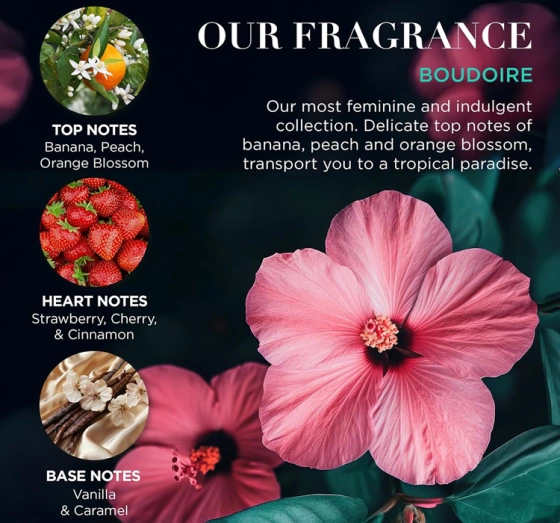 Baylis & Harding Boudoire zestaw prezentowy krem pod prysznic 300 ml + pianka do kąpieli 300 ml + balsam do ciała 130 ml + masło do ciała 100 ml + mydło 150 g